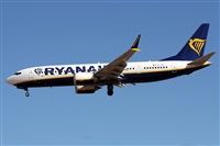 ©Alfonso Solís - Asociación Canary Islands Spotting. Click to see full size photo ©Alfonso Solís - Asociación Canary Islands Spotting. Click to see full size photo