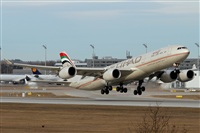 Cele -Noisy Spotters. Click to see full size photo