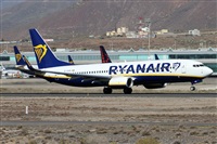 Alfonso Sols - Asociacin Canary Islands Spotting. Click to see full size photo