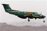 ©Adolfo Bento - Gran Canaria Spotters. Click to see full size photo ©Adolfo Bento - Gran Canaria Spotters. Click to see full size photo