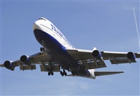 Cele -Noisy Spotters. Click to see full size photo