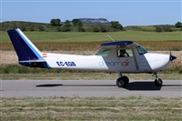 Cele -Noisy Spotters. Click to see full size photo