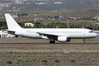 ©Alfonso Solís - Asociación Canary Islands Spotting. Click to see full size photo ©Alfonso Solís - Asociación Canary Islands Spotting. Click to see full size photo