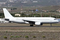 Alfonso Sols - Asociacin Canary Islands Spotting. Haz click para ampliar