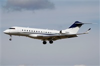 Cele -Noisy Spotters. Click to see full size photo