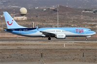 Alfonso Sols - Asociacin Canary Islands Spotting. Click to see full size photo