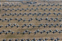 ©Javier Rodríguez. Click to see full size photo ©Javier Rodríguez. Click to see full size photo