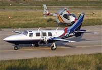 Cele -Noisy Spotters. Click to see full size photo