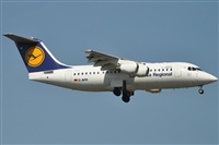 Rubn Gil - Noisy Spotters. Click to see full size photo