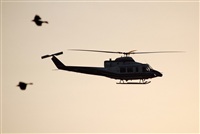 ©Carlos Alberto B. Click to see full size photo ©Carlos Alberto B. Click to see full size photo