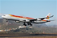 Miguel A. gueda Rguez.  (CANARY ISLANDS SPOTTING). Click to see full size photo