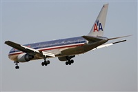 Cele -Noisy Spotters. Click to see full size photo