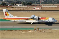 ©Salvador de la Rubia ( Marbella Spotters ). Click to see full size photo ©Salvador de la Rubia ( Marbella Spotters ). Click to see full size photo