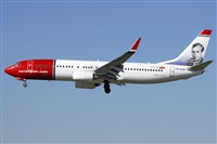 Cele -Noisy Spotters. Click to see full size photo