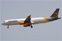 ©Alfonso Solís - Asociación Canary Islands Spotting. Click to see full size photo ©Alfonso Solís - Asociación Canary Islands Spotting. Click to see full size photo