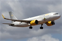 ©Alfonso Solís - Asociación Canary Islands Spotting. Click to see full size photo ©Alfonso Solís - Asociación Canary Islands Spotting. Click to see full size photo