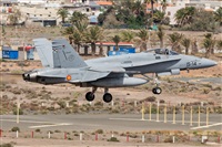 ©Adolfo Bento - Gran Canaria Spotters. Click to see full size photo ©Adolfo Bento - Gran Canaria Spotters. Click to see full size photo