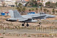 Adolfo Bento - Gran Canaria Spotters. Click to see full size photo