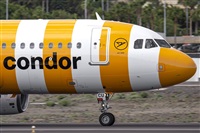 Daniel Santos Batista - Canary Islands Spotting. Click to see full size photo