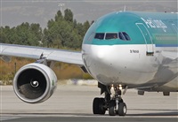 Cele -Noisy Spotters. Click to see full size photo