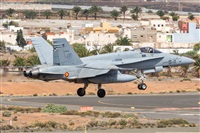 Adolfo Bento - Gran Canaria Spotters. Click to see full size photo