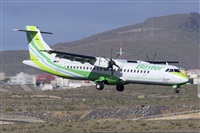 Saimon J Rodriguez   -   Canary Islands Spotting. Click to see full size photo