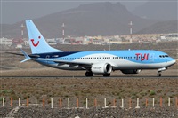 Alfonso Sols - Asociacin Canary Islands Spotting. Click to see full size photo