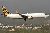 ©Adolfo Bento - Gran Canaria Spotters. Click to see full size photo ©Adolfo Bento - Gran Canaria Spotters. Click to see full size photo