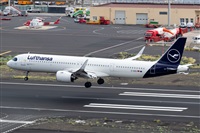 ŠLuis Rguez - La Palma Spotting. Click to see full size photo ŠLuis Rguez - La Palma Spotting. Click to see full size photo
