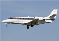 Cele -Noisy Spotters. Click to see full size photo
