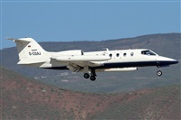 ©Alfonso Solís - Asociación Canary Islands Spotting. Click to see full size photo ©Alfonso Solís - Asociación Canary Islands Spotting. Click to see full size photo