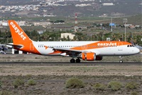 Alfonso Sols - Asociacin Canary Islands Spotting. Click to see full size photo