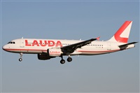 ©Alfonso Solís - Asociación Canary Islands Spotting. Click to see full size photo ©Alfonso Solís - Asociación Canary Islands Spotting. Click to see full size photo