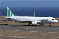 Alfonso Sols - Asociacin Canary Islands Spotting. Haz click para ampliar