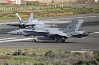 Adolfo Bento - Gran Canaria Spotters. Click to see full size photo