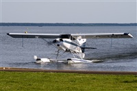 Javier de la Cruz - CANARY ISLANDS SPOTTING. Click to see full size photo