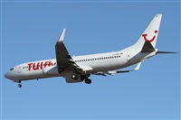 ©Alfonso Solís - Asociación Canary Islands Spotting. Click to see full size photo ©Alfonso Solís - Asociación Canary Islands Spotting. Click to see full size photo