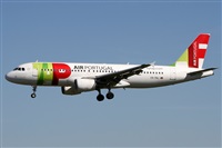 ©Alfonso Solís - Asociación Canary Islands Spotting. Click to see full size photo ©Alfonso Solís - Asociación Canary Islands Spotting. Click to see full size photo