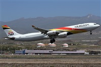 ©Alfonso Solís - Asociación Canary Islands Spotting. Click to see full size photo ©Alfonso Solís - Asociación Canary Islands Spotting. Click to see full size photo