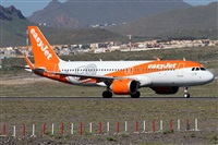 Alfonso Sols - Asociacin Canary Islands Spotting. Click to see full size photo