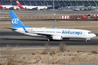 ©Alfonso Solís - Asociación Canary Islands Spotting. Click to see full size photo ©Alfonso Solís - Asociación Canary Islands Spotting. Click to see full size photo