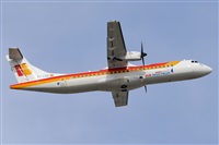 ©Miguel A. Águeda Rguez.  (CANARY ISLANDS SPOTTING). Click to see full size photo