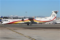 ©Guillermo García del Alamo. Click to see full size photo ©Guillermo García del Alamo. Click to see full size photo