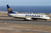©Alfonso Solís - Asociación Canary Islands Spotting. Click to see full size photo ©Alfonso Solís - Asociación Canary Islands Spotting. Click to see full size photo