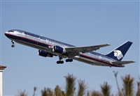 Cele -Noisy Spotters. Click to see full size photo