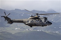 ©Adolfo Bento - Gran Canaria Spotters. Click to see full size photo ©Adolfo Bento - Gran Canaria Spotters. Click to see full size photo