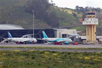 Miguel A. gueda Rguez.  (CANARY ISLANDS SPOTTING). Click to see full size photo