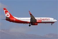 ©Alfonso Solís - Asociación Canary Islands Spotting. Click to see full size photo ©Alfonso Solís - Asociación Canary Islands Spotting. Click to see full size photo