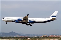 Cele -Noisy Spotters. Click to see full size photo