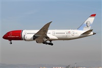 Cele -Noisy Spotters. Click to see full size photo